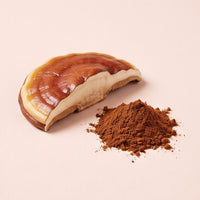 Sliced reishi and powder on blush-oat