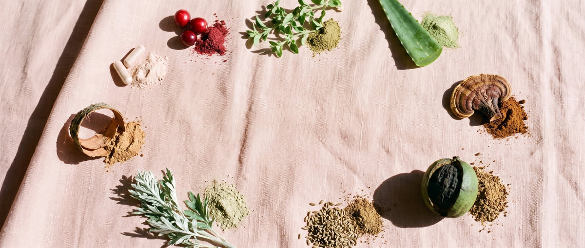 Overhead flat-lay on blush linen: oregano, cranberries, black walnut, cut aloe, anise seed, wormwood, reishi, an ivory powder and seven clear capsules filled with speckled mauve-tan powder framing a clean centre