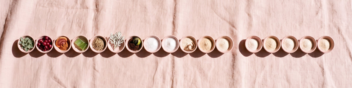Overhead on blush linen in sunlight: one straight row of small blush pinch bowls holding the twelve supporting ingredients, then, after a gap, five more holding the probiotic powder