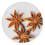 Anise Seed ingredient illustration