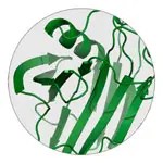 Cellulase ingredient illustration