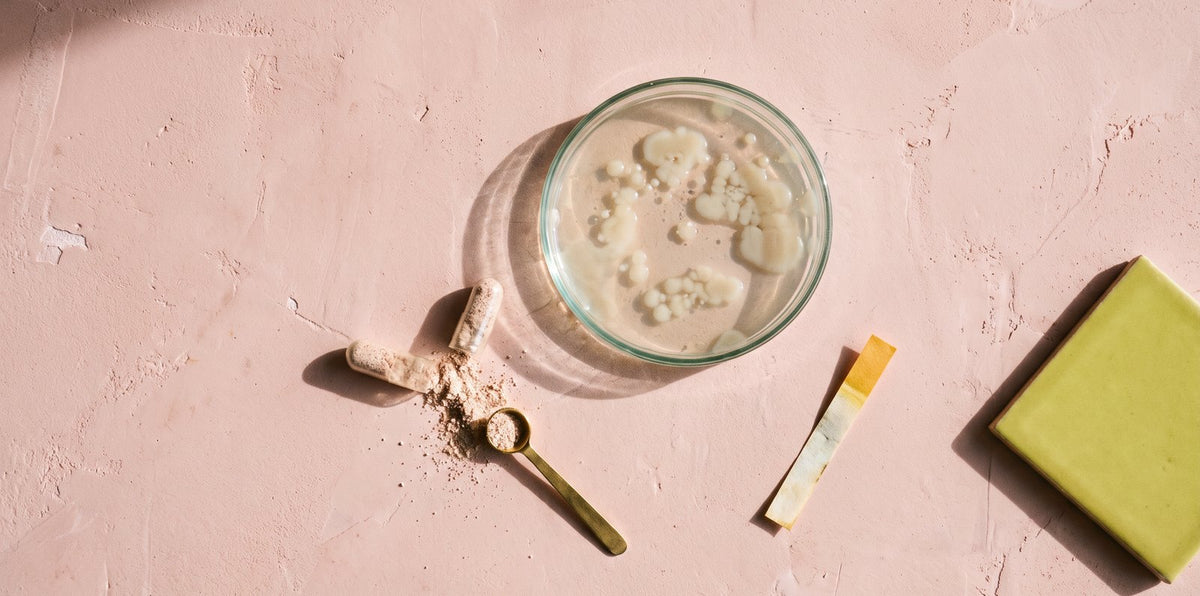 A petri dish of probiotic culture beside an opened capsule spilling powder, a brass scoop and a pH strip on blush plaster