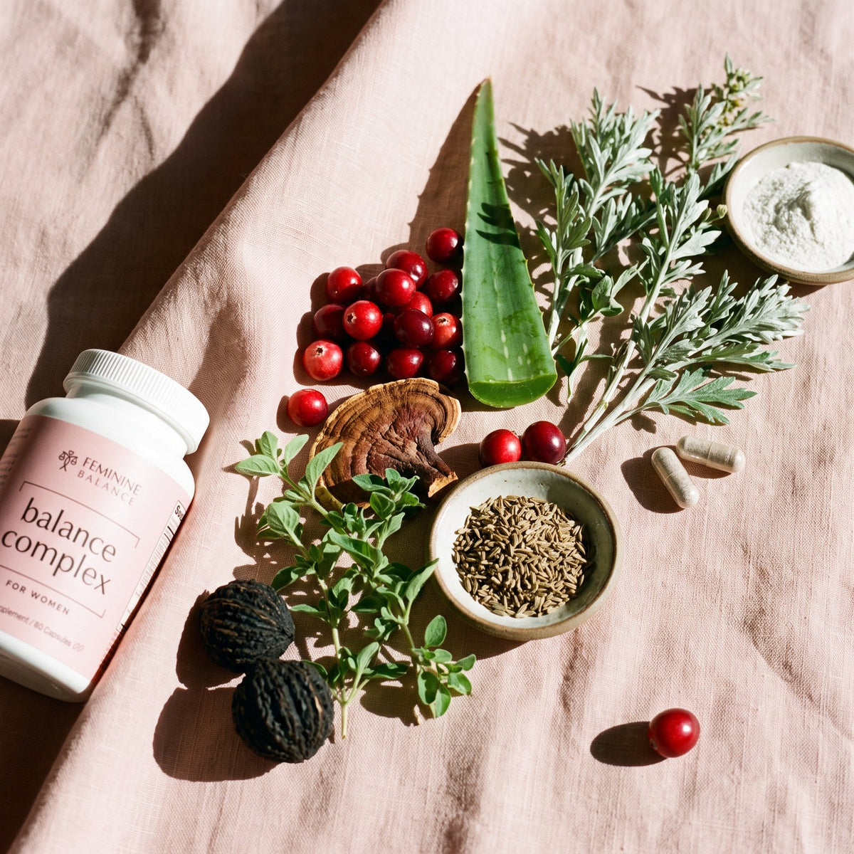 The bottle among its raw ingredients on blush linen: cranberries, aloe, reishi, wormwood, black walnut, anise seeds and capsules